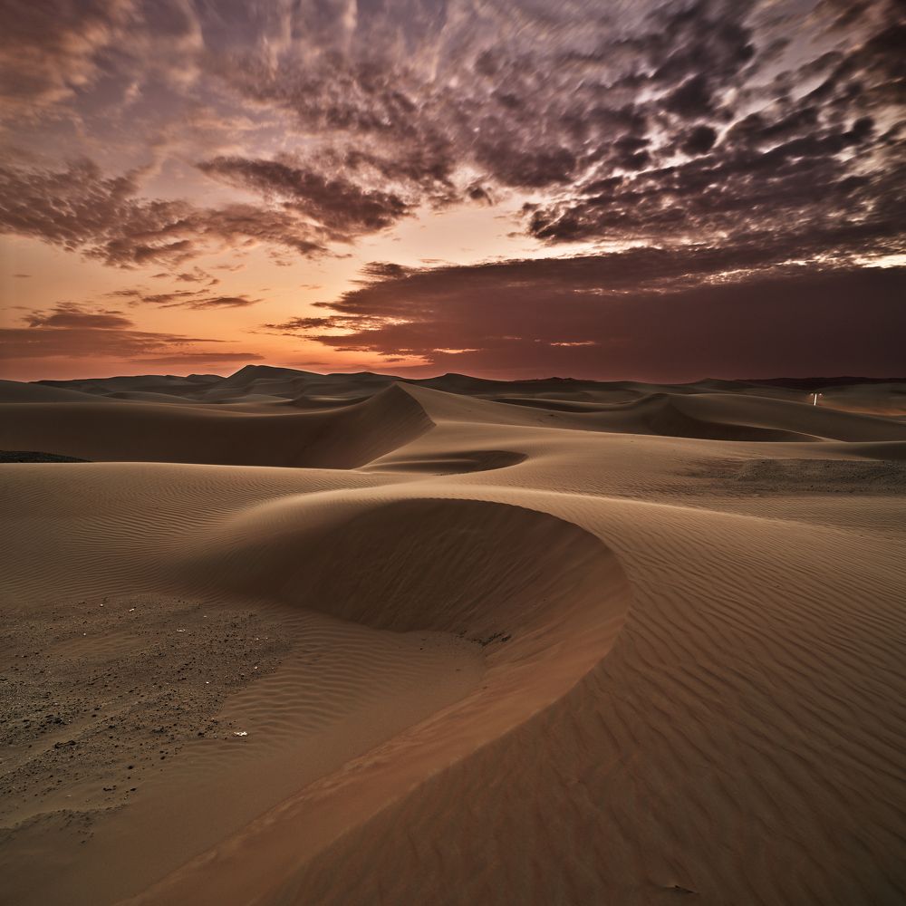 Photograph by Felix Ostapenko