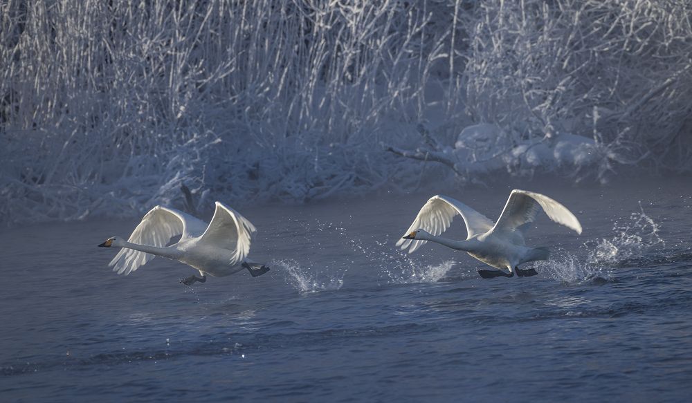 Бегущие по волнам!