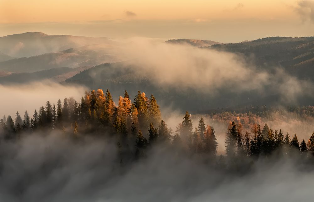 Photograph by Negulescu Mircea