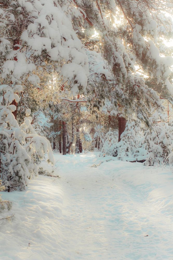 Photograph by Angelina Karelina