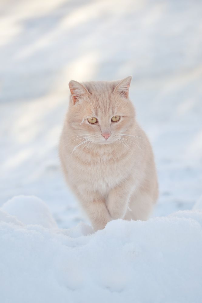 Photograph by Marina Gritchina