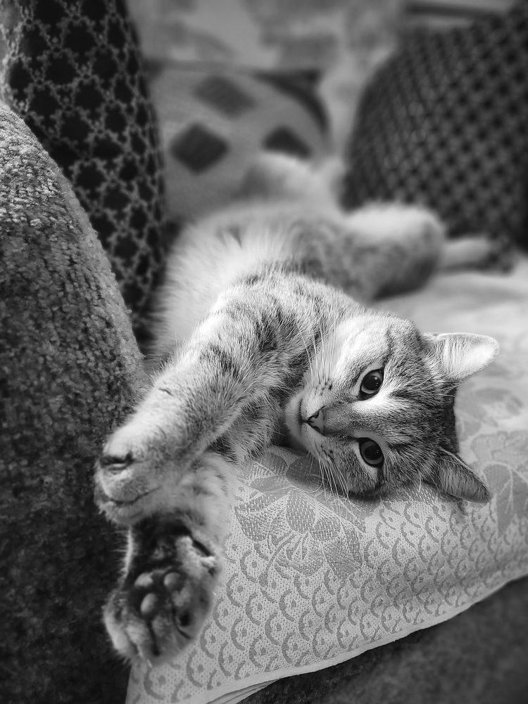 Photograph by Светлана Гаранина