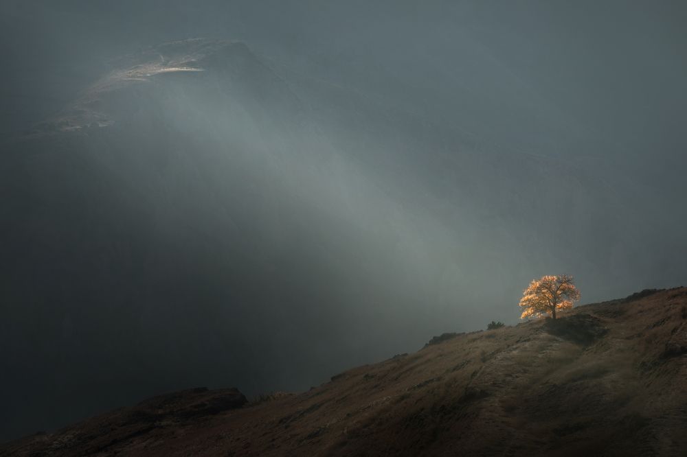 Фотография автора Рудченко Ольга