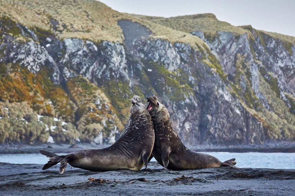 Фотография автора Boris Konovalov