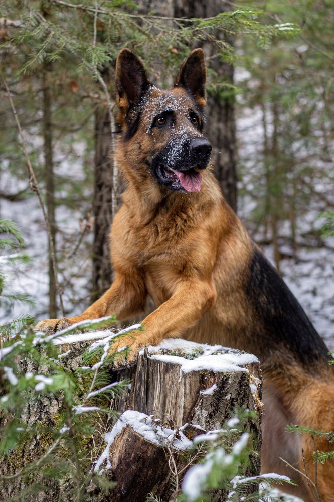 Photograph by Ольга Адольф