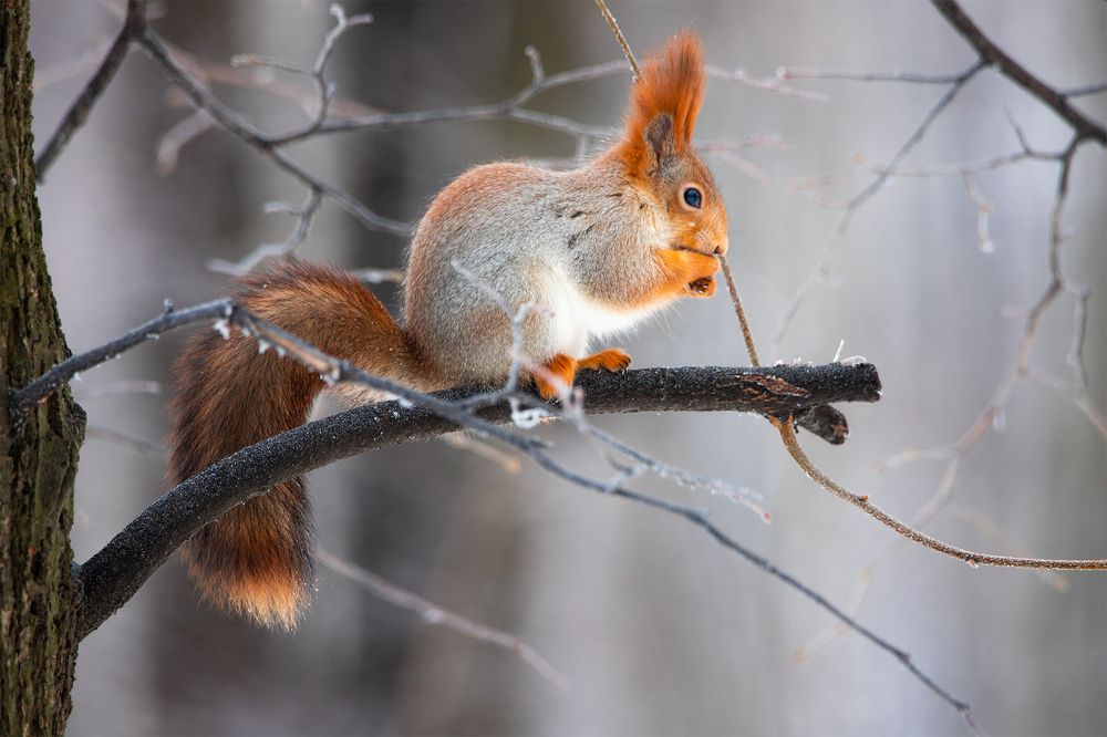 Photograph by Чудинин Дмитрий