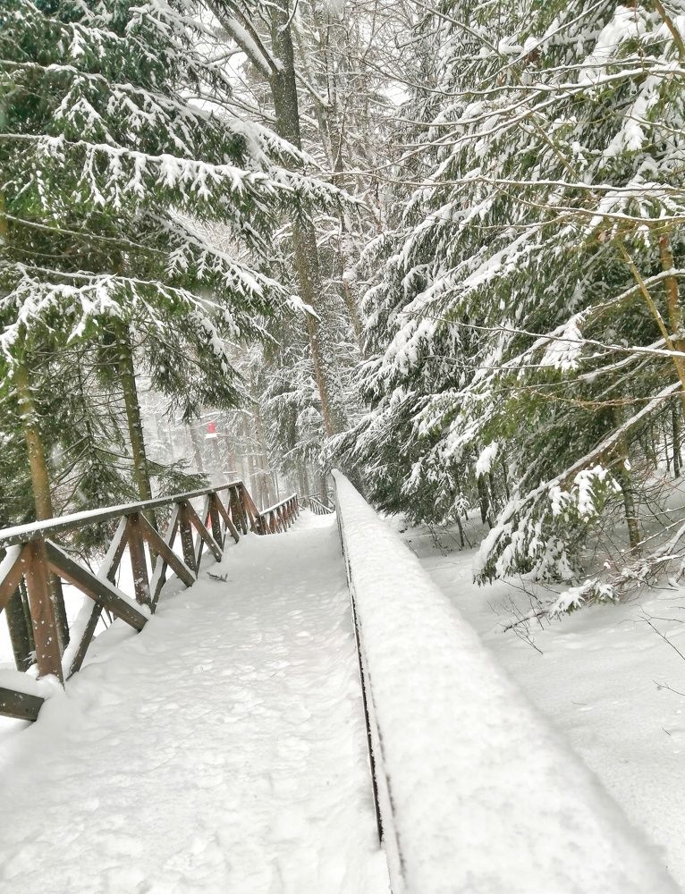 Photograph by Дмитрий Одинцов