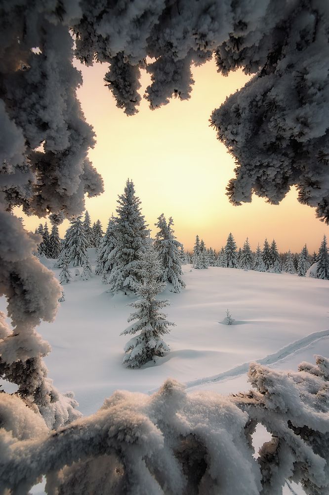 Photograph by Антон Кошетаров