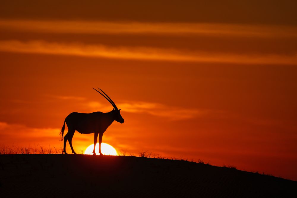 Photograph by Rémi Vacher