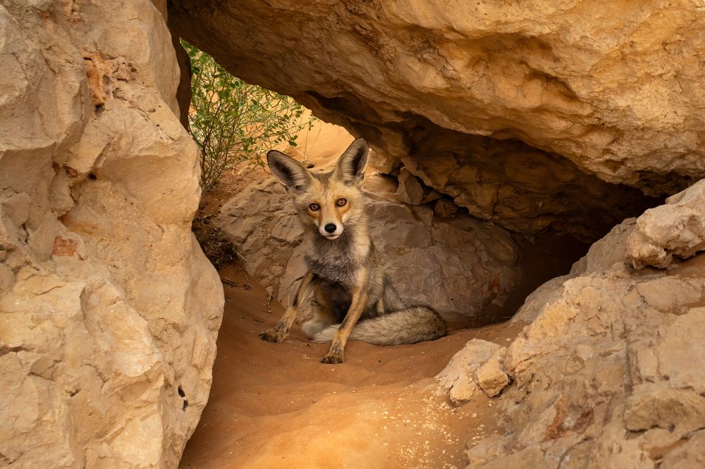 Photograph by Rémi Vacher