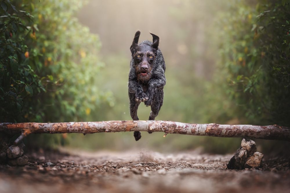 Фотография автора Rut Casanellas