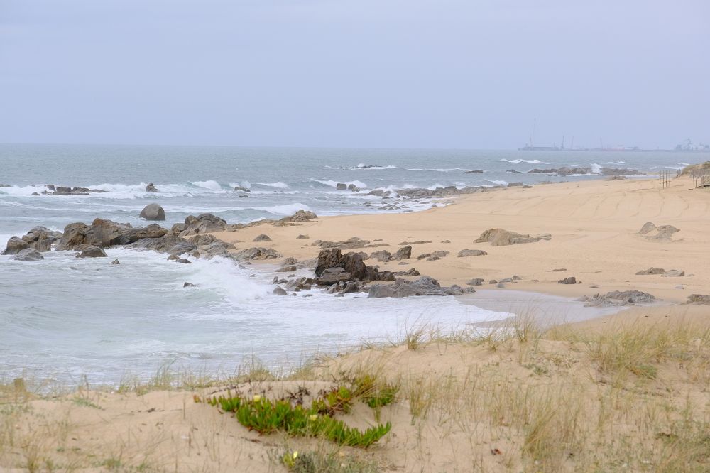 Фотография автора Jorge Correia