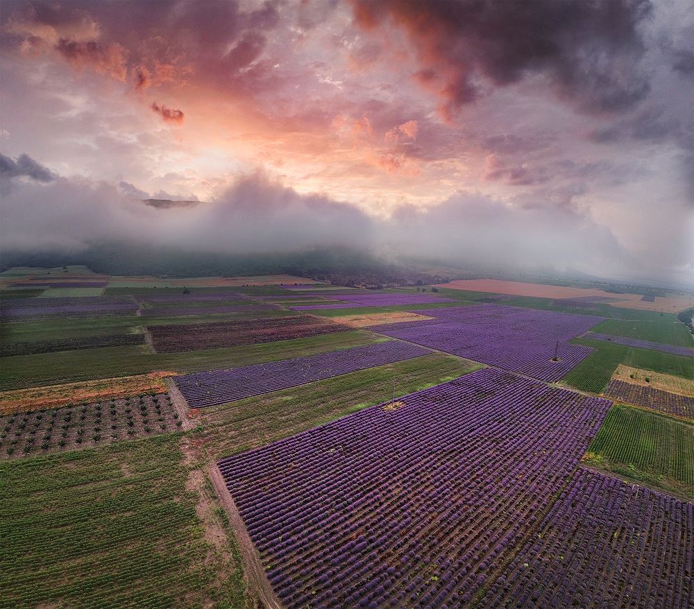 Photograph by Светлана Михалкова