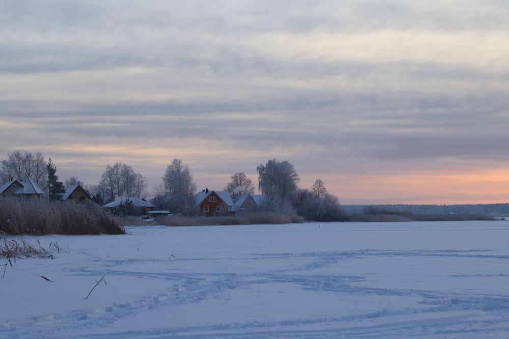 Фотография автора Irina Solonina