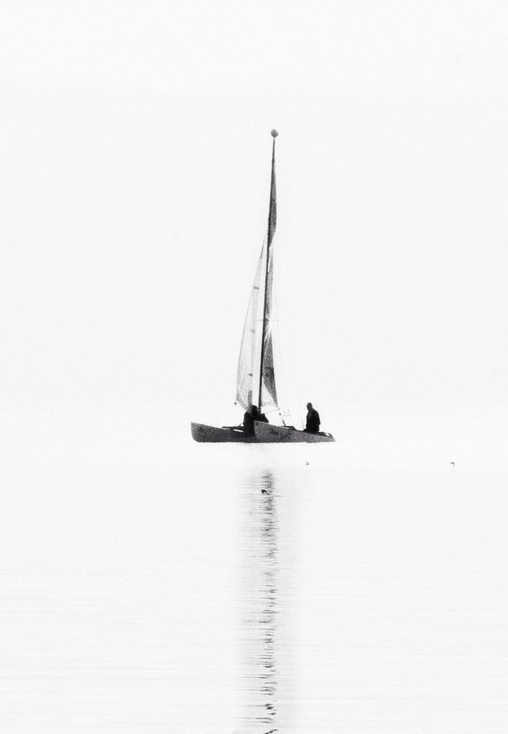 Photo #10193767