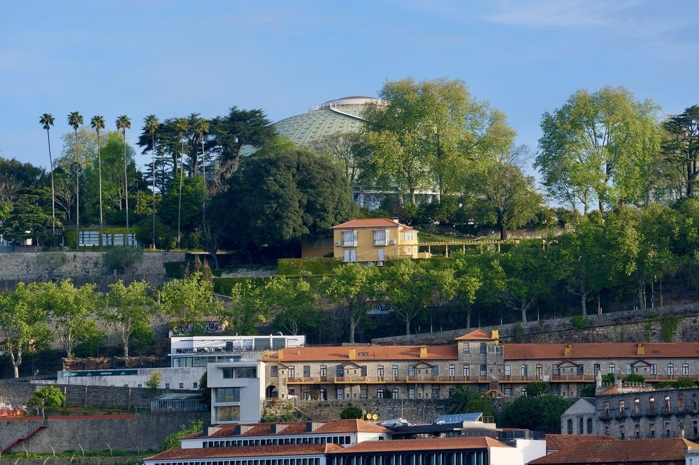 Фотография автора Jorge Correia