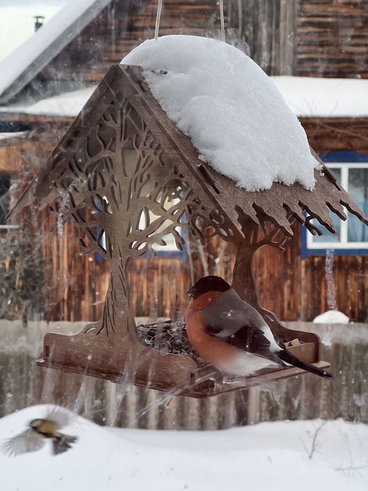 Photograph by Татьяна Михайловна