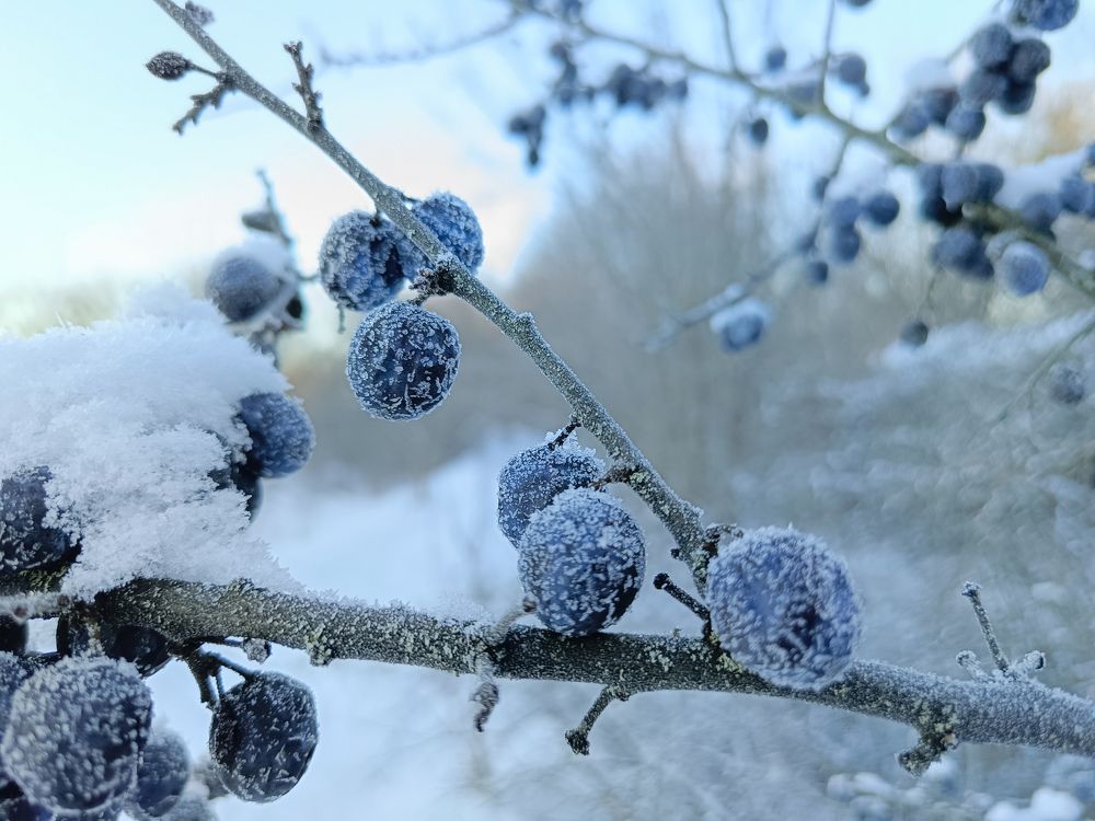 Photograph by Светлана Кондрашова