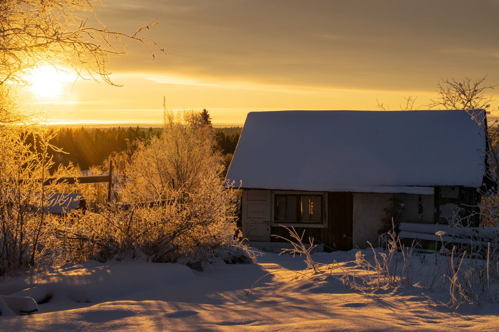 Photograph by Наталья Зверева