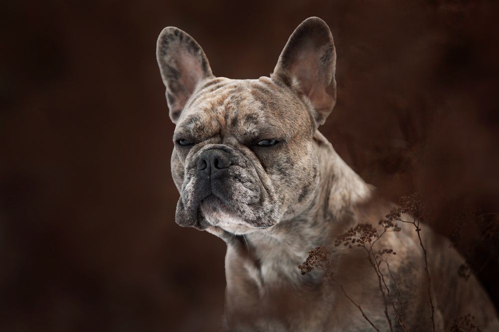 Photograph by Gertrude Goené