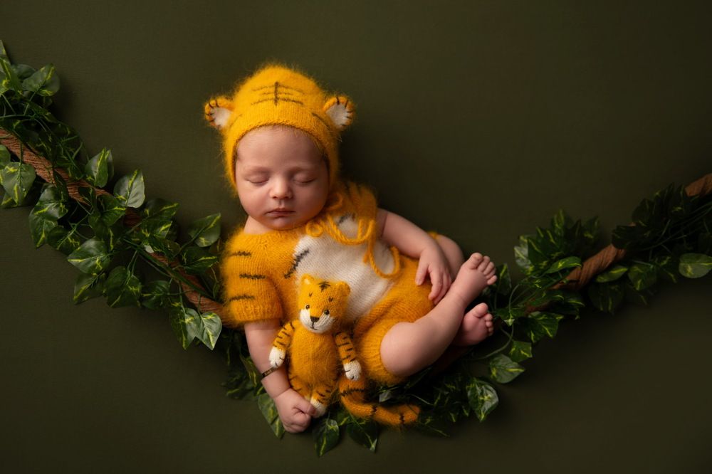 Photograph by Jane Kozz