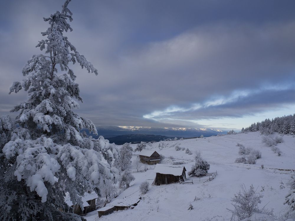 Photograph by Светлана Михалкова