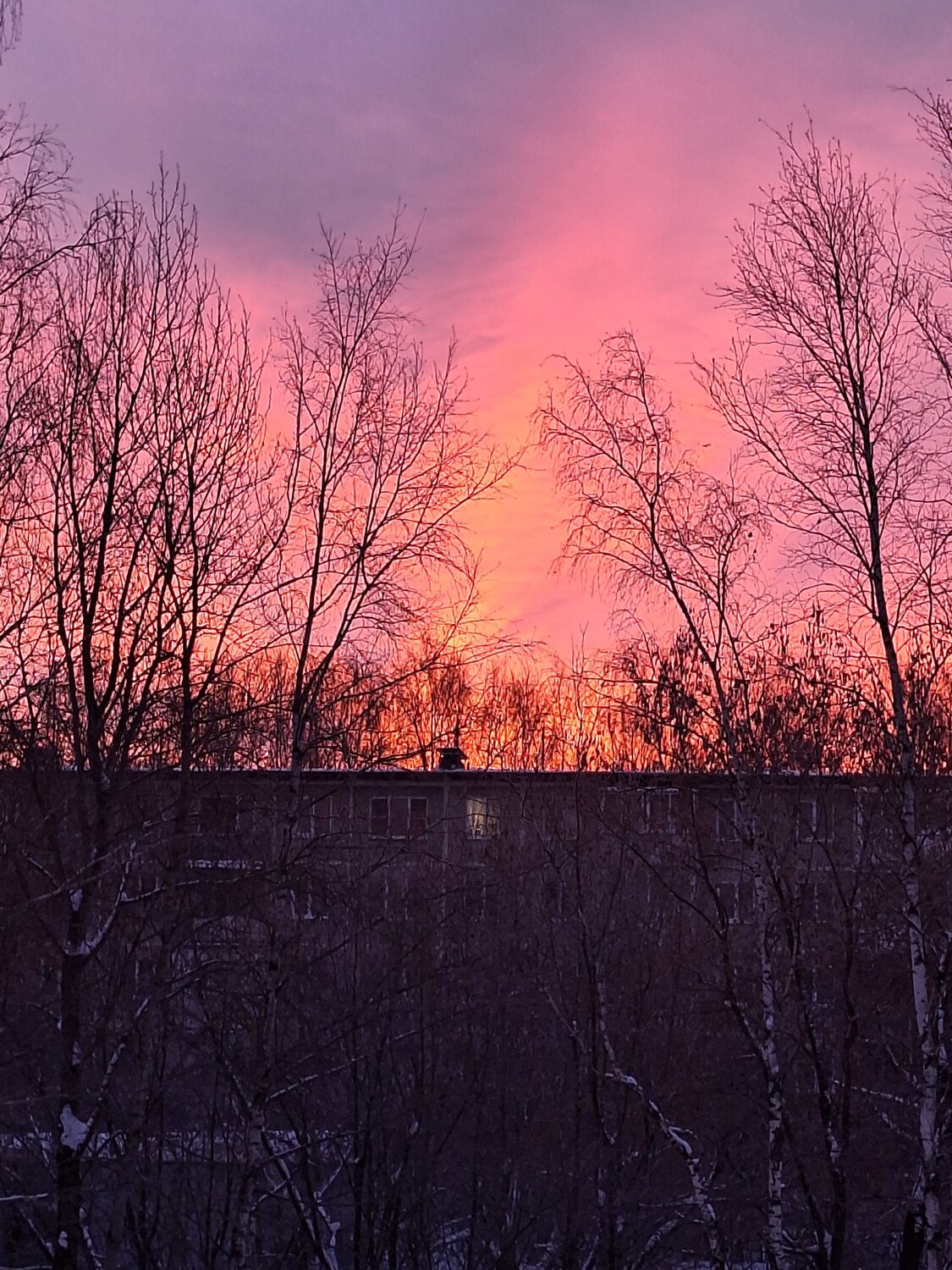 Photo #10194013