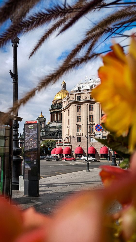 Photograph by Дмитрий Васильев