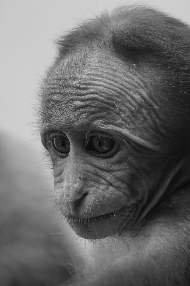 Photograph by Sathya Surya