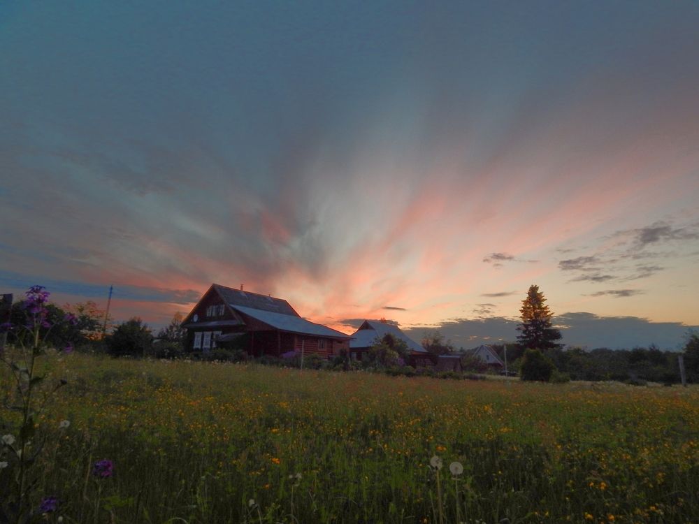 Photograph by 