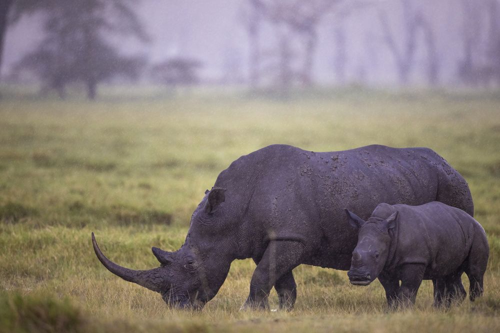 Photograph by Goutham Ganesh Sivanandam