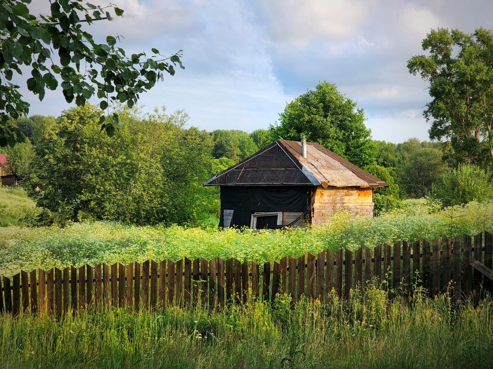 Photograph by Ольга