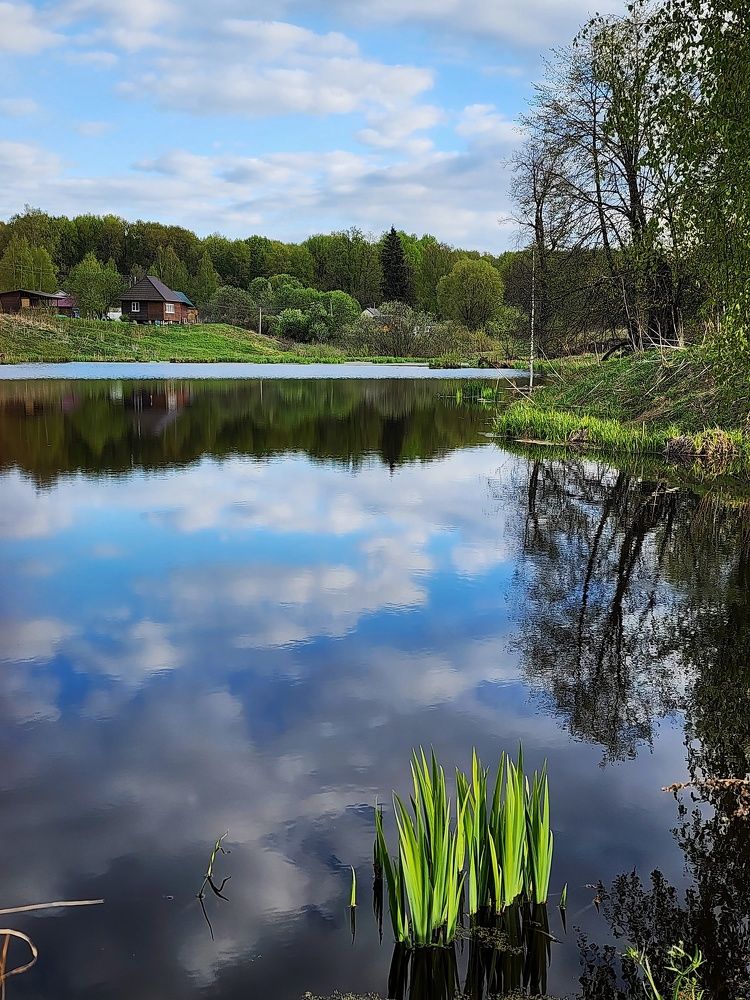 Photograph by Ольга