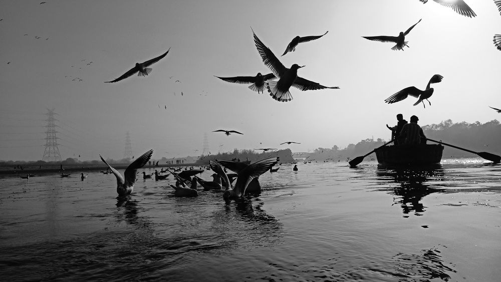 Фотография автора sachin gaurav