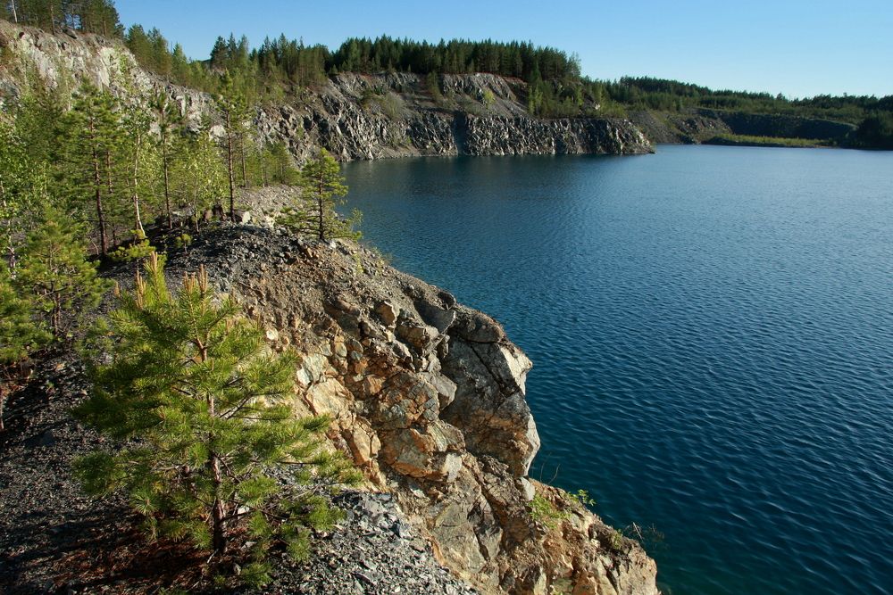 Фотография автора Nelya  Lysenko