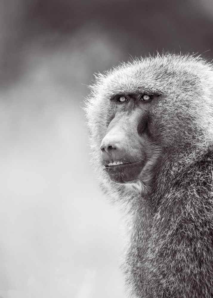 Photograph by Goutham Ganesh Sivanandam