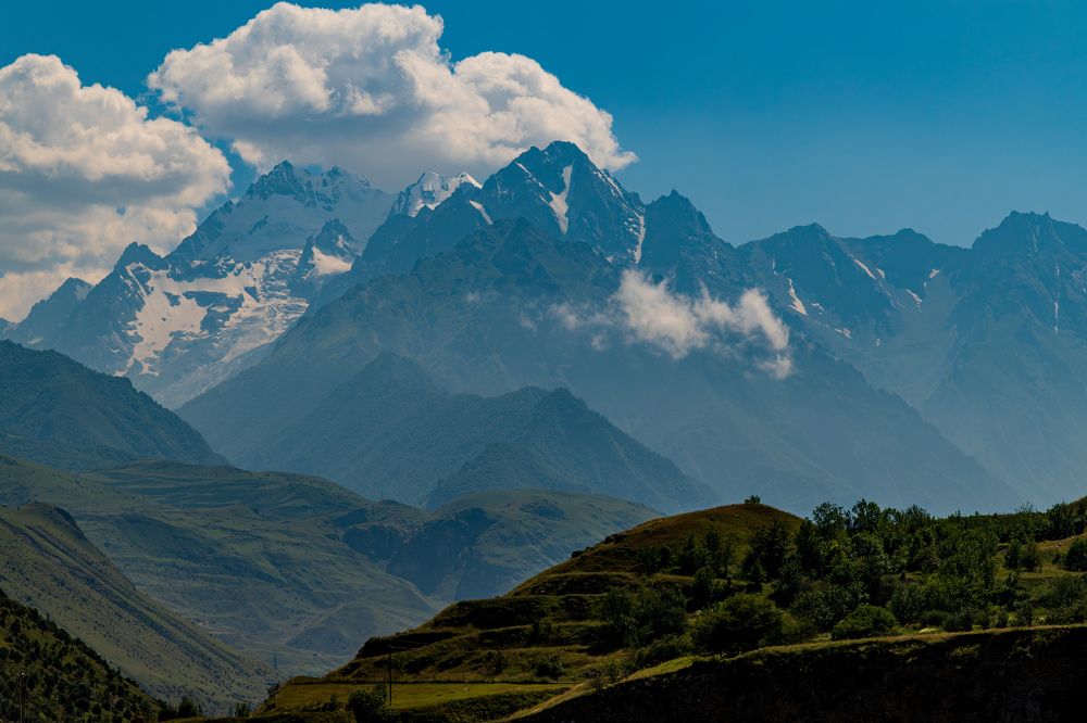 Фотография автора Дмитрий Referee