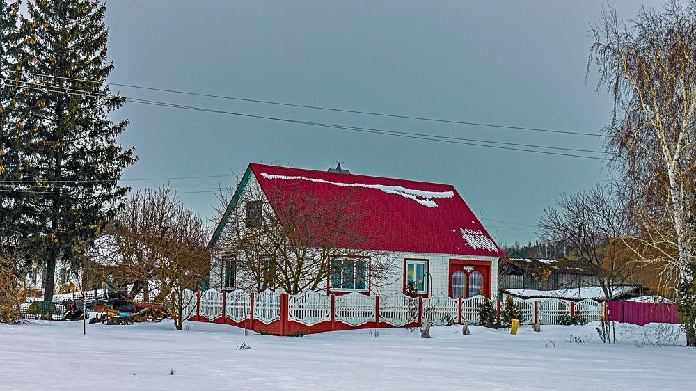 Фотография автора Николай Бологов