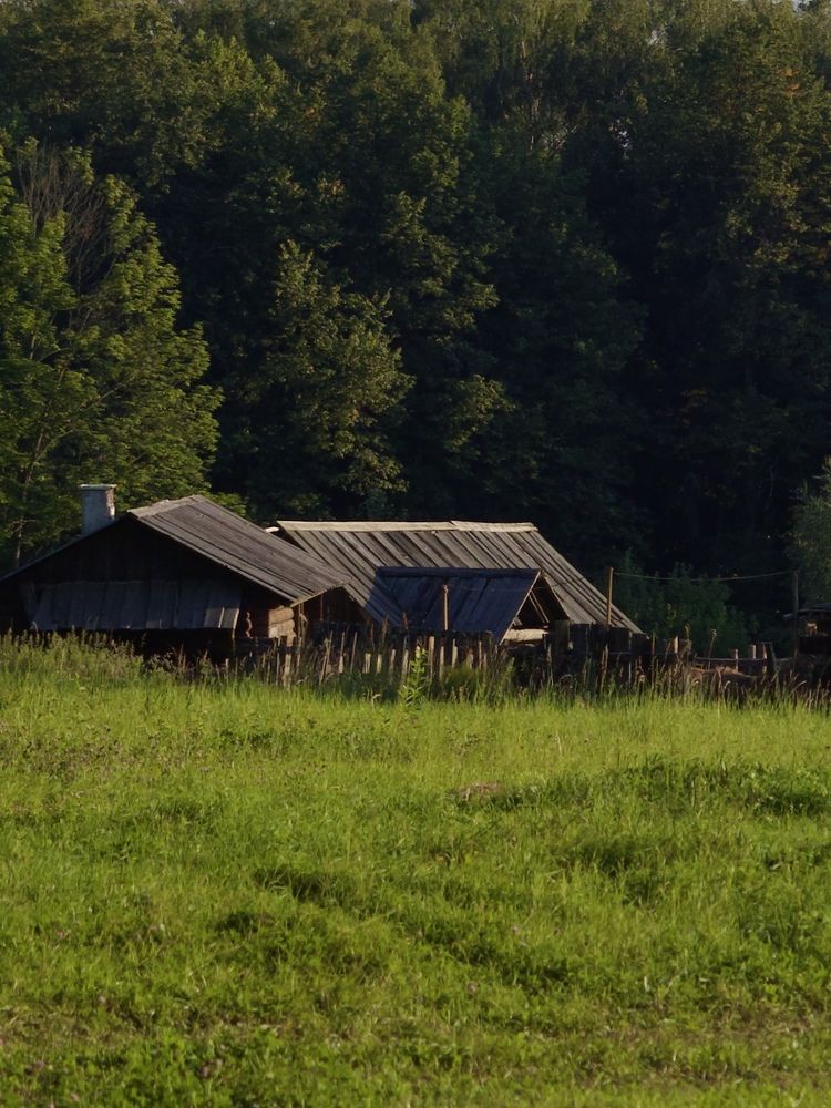 Photograph by Светлана Георкова