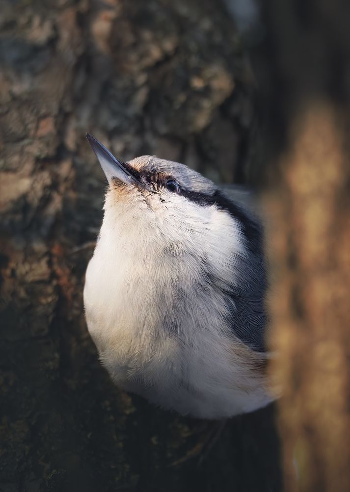 Photograph by Маргарита Смоленская