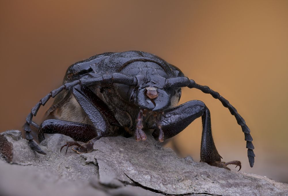 Photograph by Иван Золин