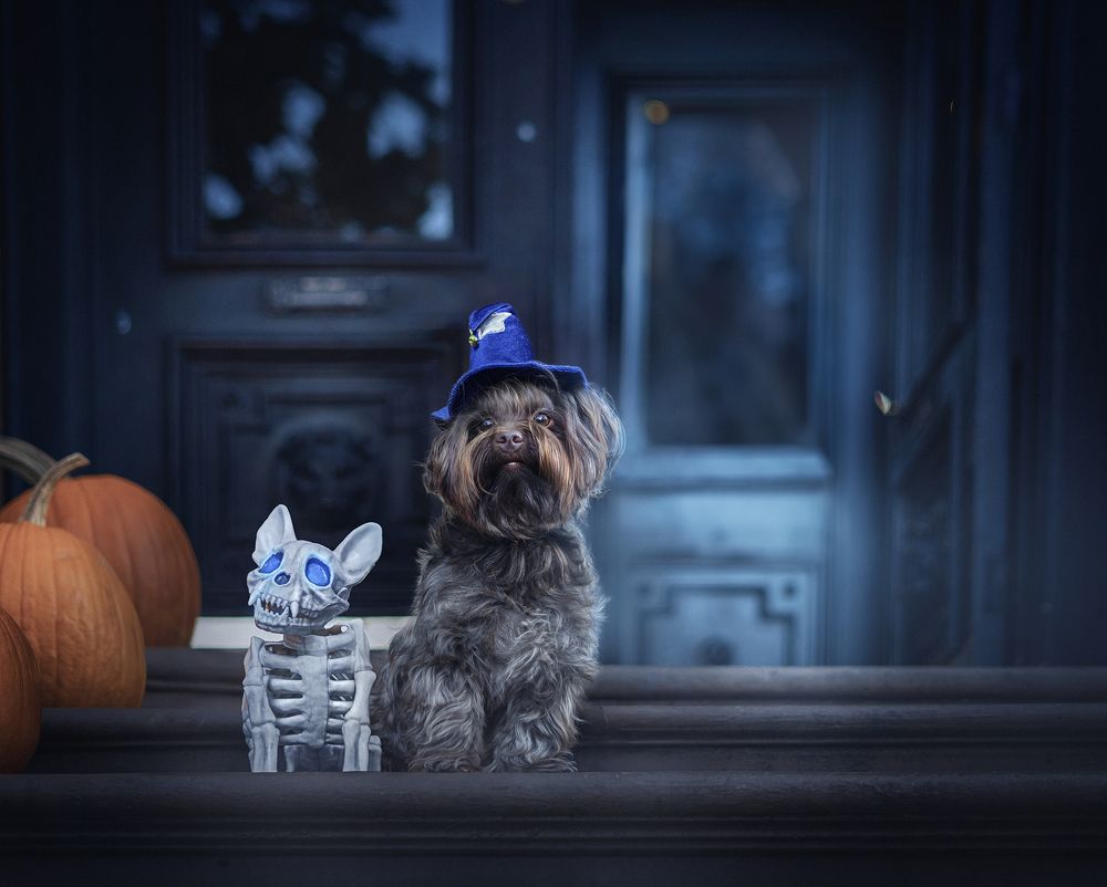 Фотография автора Eugenia Tuzova