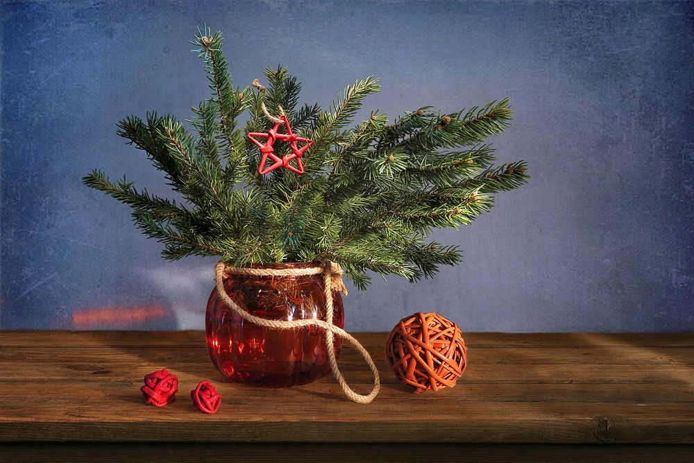 Photograph by Алла Шевченко