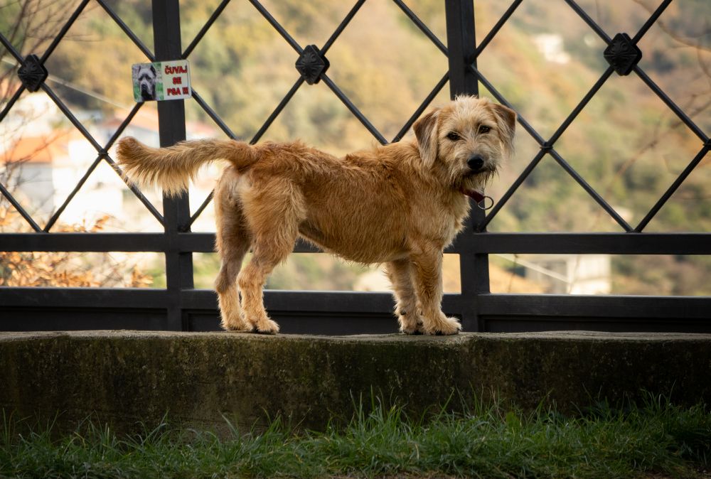 Photograph by Оксана Бочина