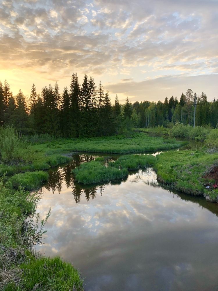 Река Сыга на закате
