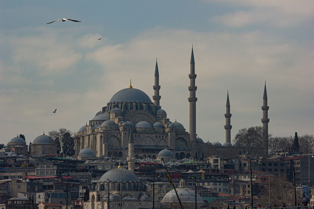 Photograph by Ekaterina Narozhnova