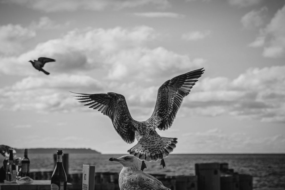 Photograph by Tatiana Potapenko