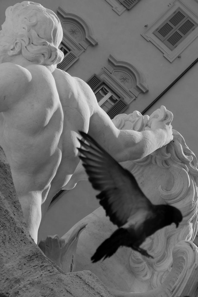 Фотография автора Gilliard Bressan