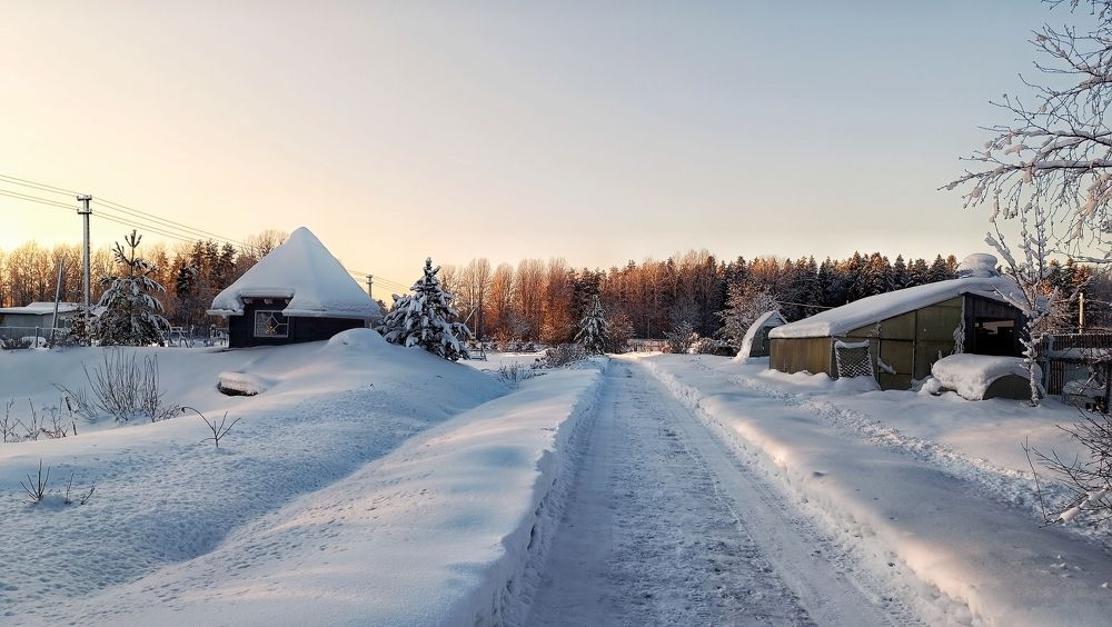 Вечер в Лосево