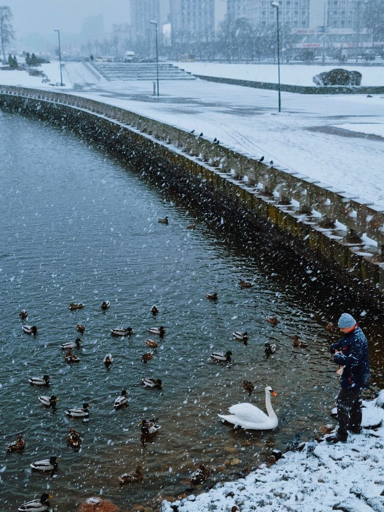 Снегопад на Немиге